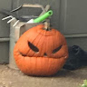 Meet your Posher, Thomas